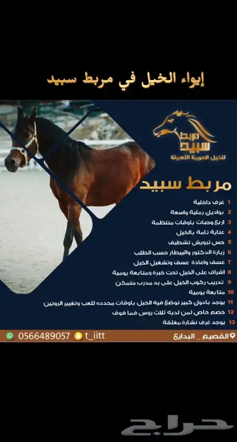 ايواء خيل 1