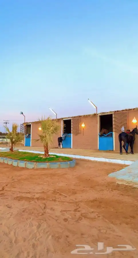 ايواء خيل 0