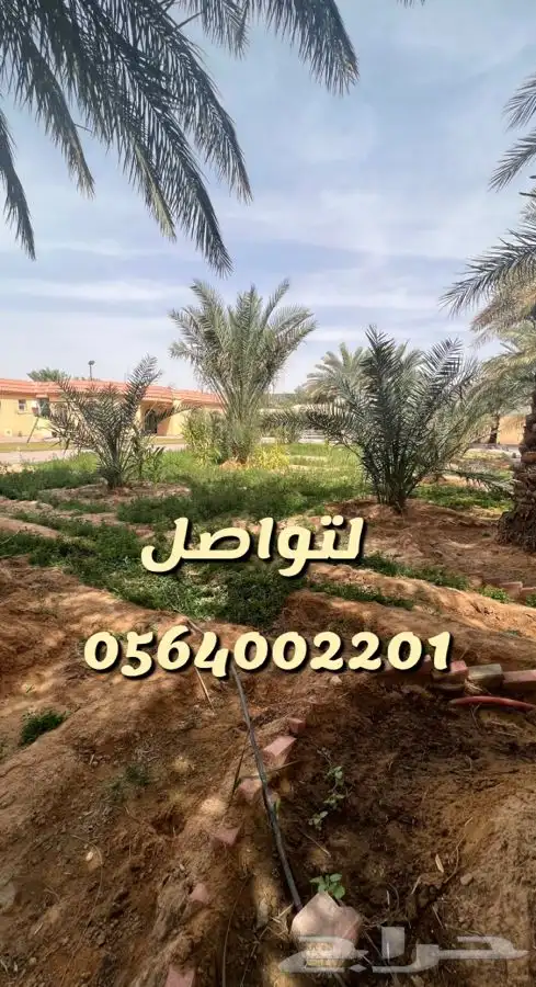 استراحه ارض العفجه الهياثم الرحمانيه الخرج 7