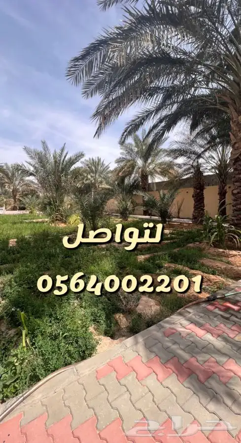 استراحه ارض العفجه الهياثم الرحمانيه الخرج 8