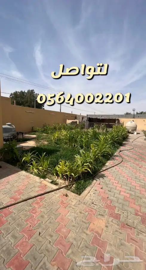 استراحه ارض العفجه الهياثم الرحمانيه الخرج 15