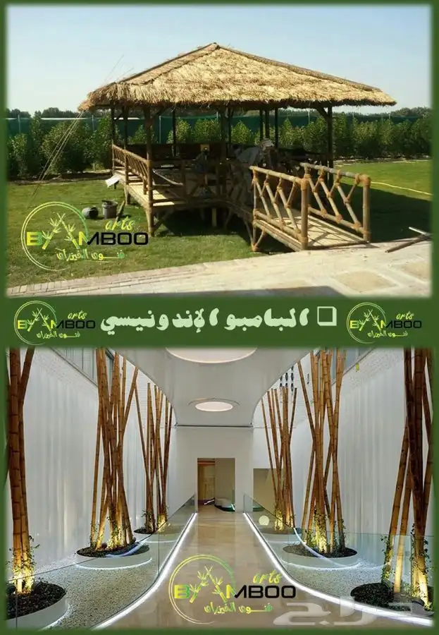 بابمو خيزران بالجمله 1