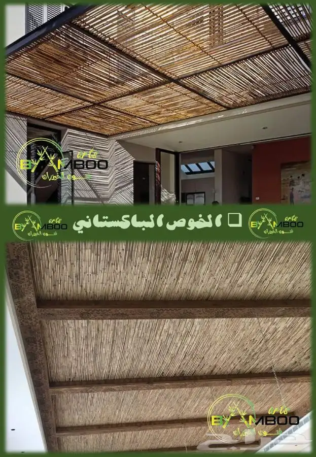 بابمو خيزران بالجمله 32