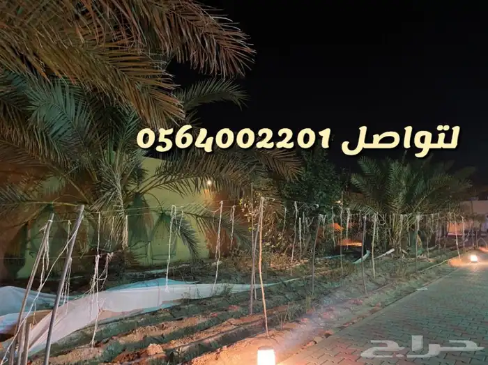 استراحه ارض العفجه الهياثم الرحمانيه الخرج 17