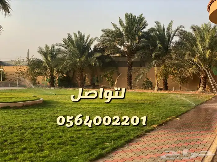 استراحه ارض العفجه الهياثم الرحمانيه الخرج 19