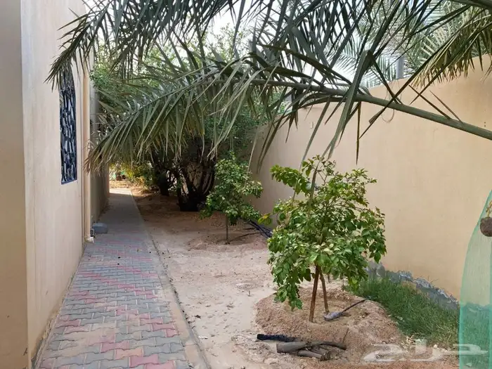استراحه ارض العفجه الهياثم الرحمانيه الخرج 21