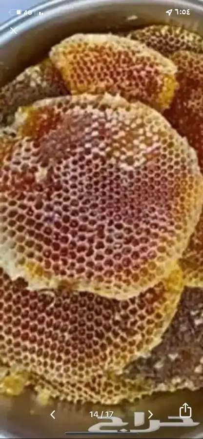 عسل للبيع انواع متعددة وحسب الموسم وحسب طلب الزبون 2