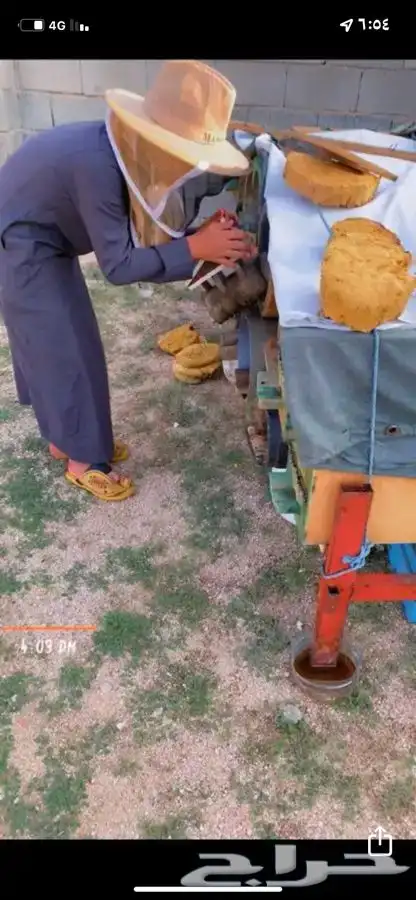 عسل للبيع انواع متعددة وحسب الموسم وحسب طلب الزبون 1