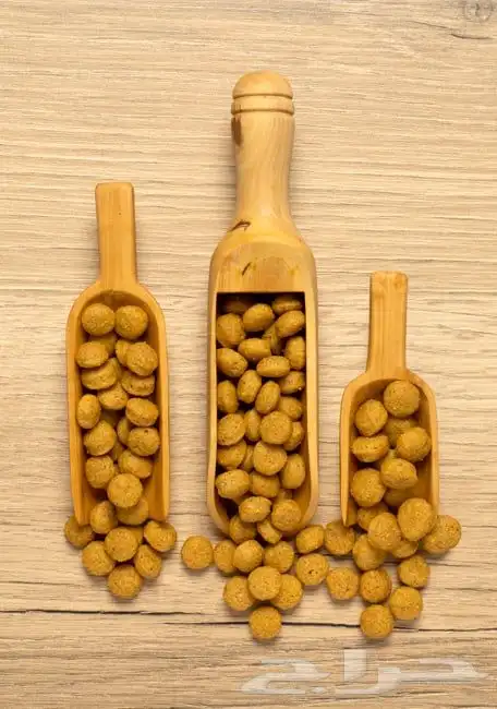 سيتاكوس سيريلاك غذاء عالي الطاقه نكتار اوميغا 6