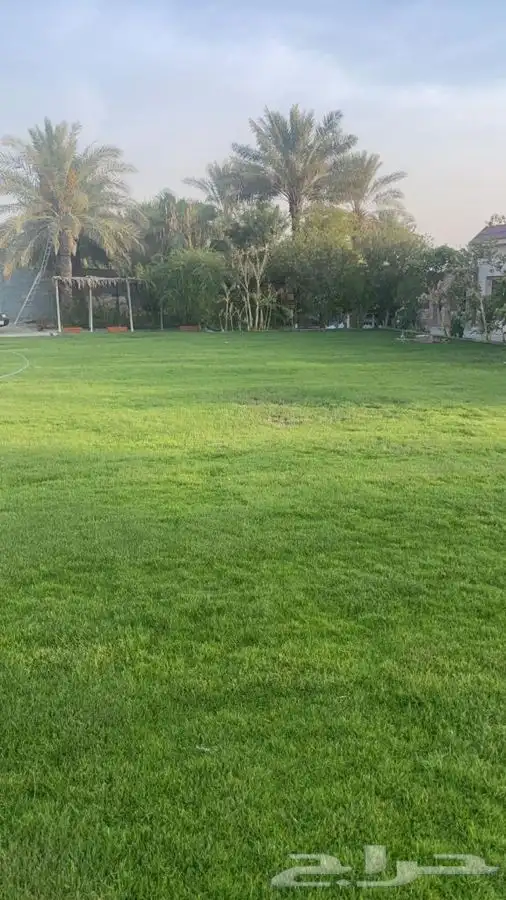 للايجار مزارع مساحات متعدده ام الساهك صفوى 1