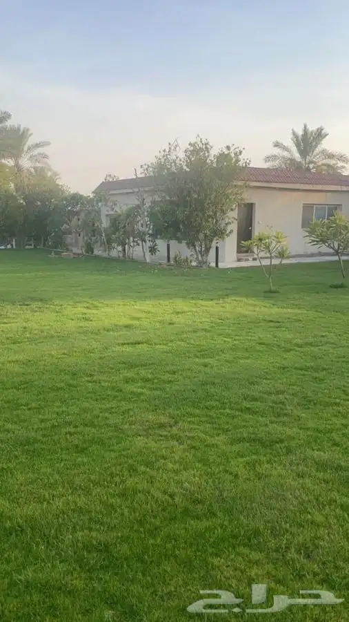 للايجار مزارع مساحات متعدده ام الساهك صفوى 0