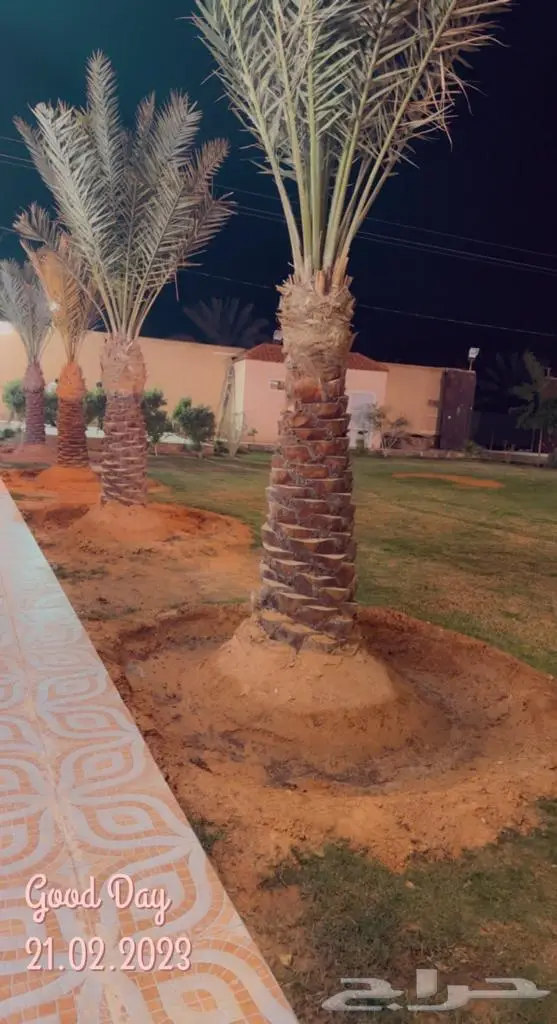 استراحة المها في ديراب للايجار اليومي 3