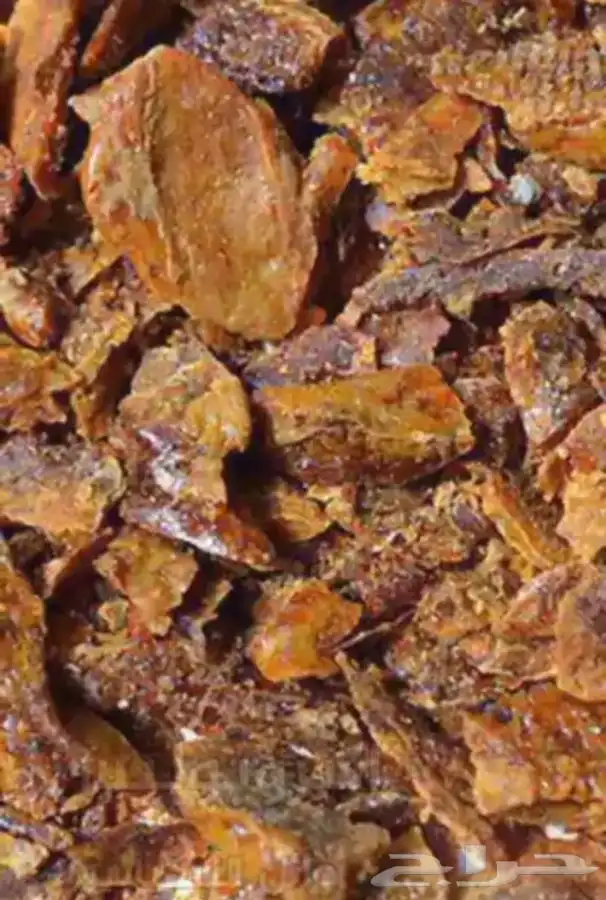 عسل للبيع انواع متعددة وحسب الموسم وحسب طلب الزبون 7