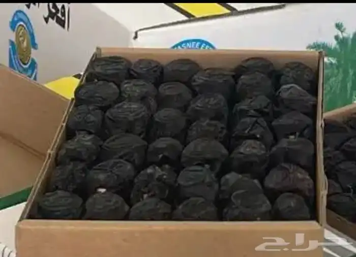 عجووه حبه فاخره 4