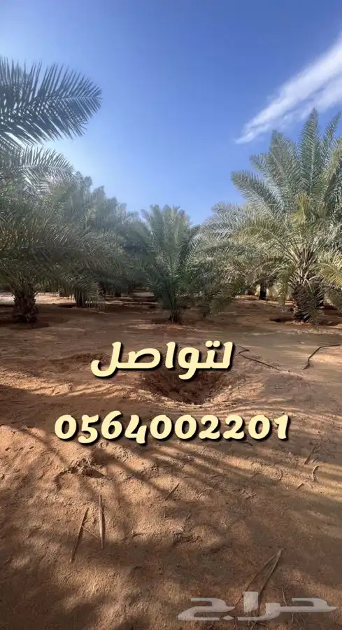 استراحه مزرعه العفجه الهياثم الرحمانيه الخرج 27