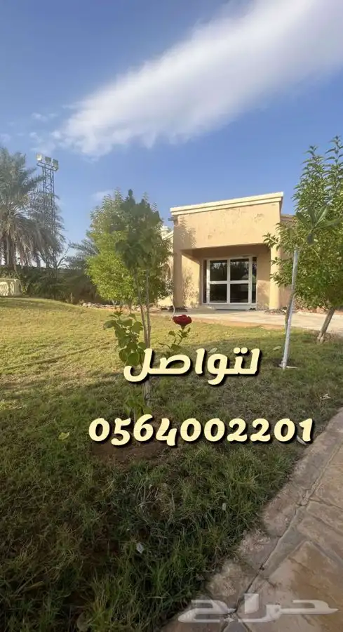 استراحه مزرعه العفجه الهياثم الرحمانيه الخرج 16