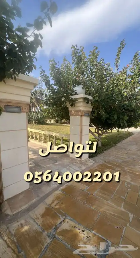 استراحه مزرعه العفجه الهياثم الرحمانيه الخرج 31