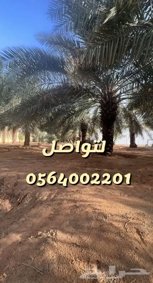استراحه مزرعه العفجه الهياثم الرحمانيه الخرج 18