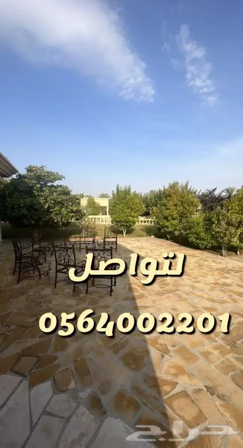 استراحه مزرعه العفجه الهياثم الرحمانيه الخرج 13