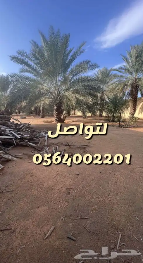 استراحه مزرعه العفجه الهياثم الرحمانيه الخرج 26
