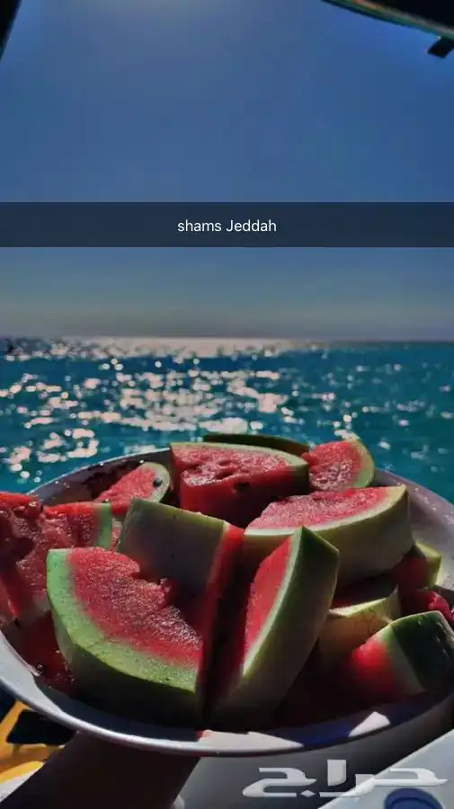 رجعنا عروض الصيف رحلات بحرية 67