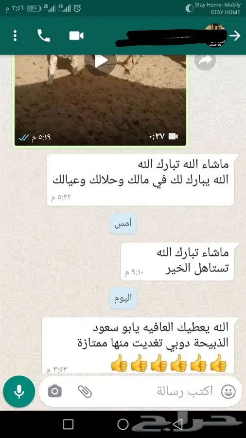 ذبيحتك لبيتك حري - سواكني فاخر من الاخر وانت مرتاح 31