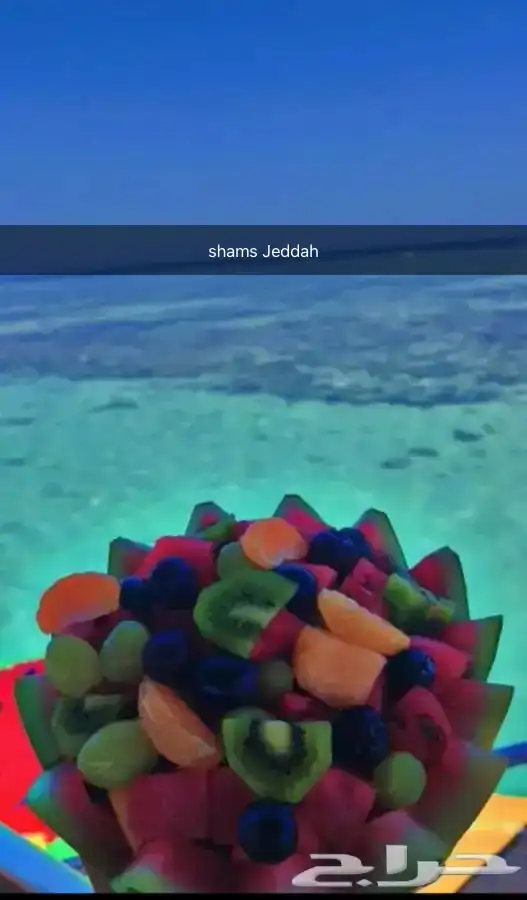 رجعنا عروض الصيف رحلات بحرية 21