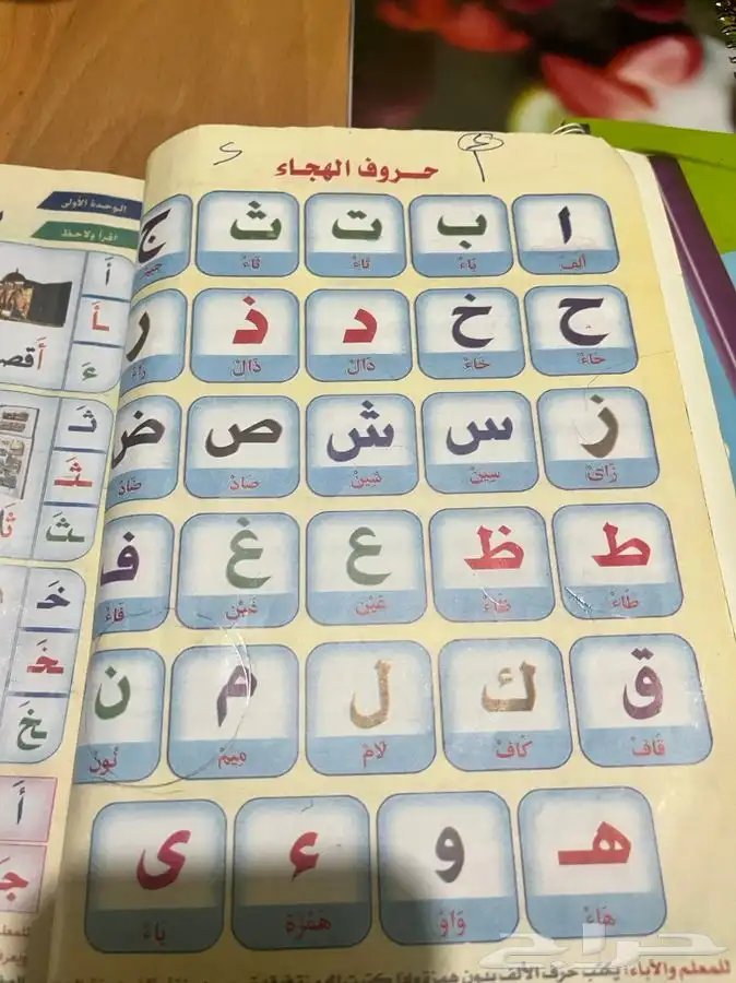 معلمة تأسيس ابتدائي الطائف 2