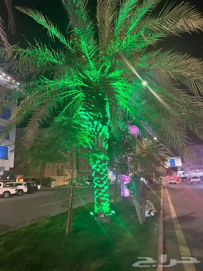 اشكال اليوم الوطني السعودي جماليه 36