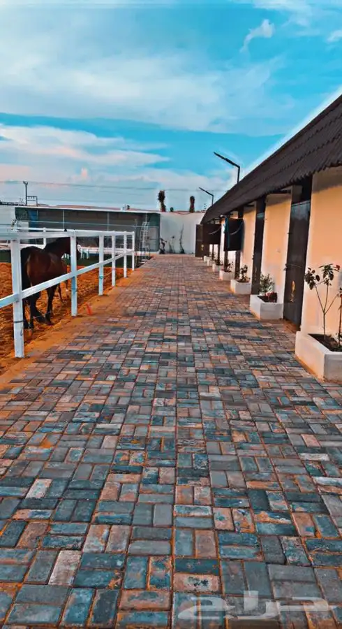 منتجع ومربط اصالة نجد 3