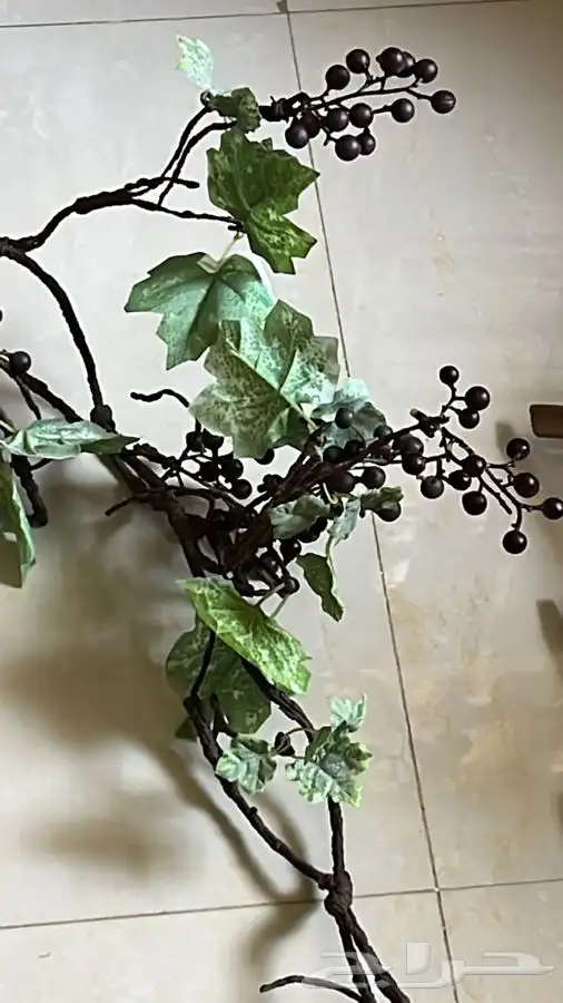 اشجار زينه مرايا ورد واغصان 13