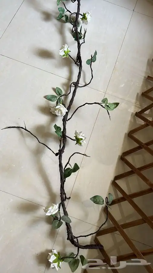 اشجار زينه مرايا ورد واغصان 11