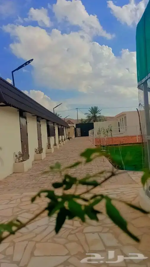 منتجع ومربط اصالة نجد 4