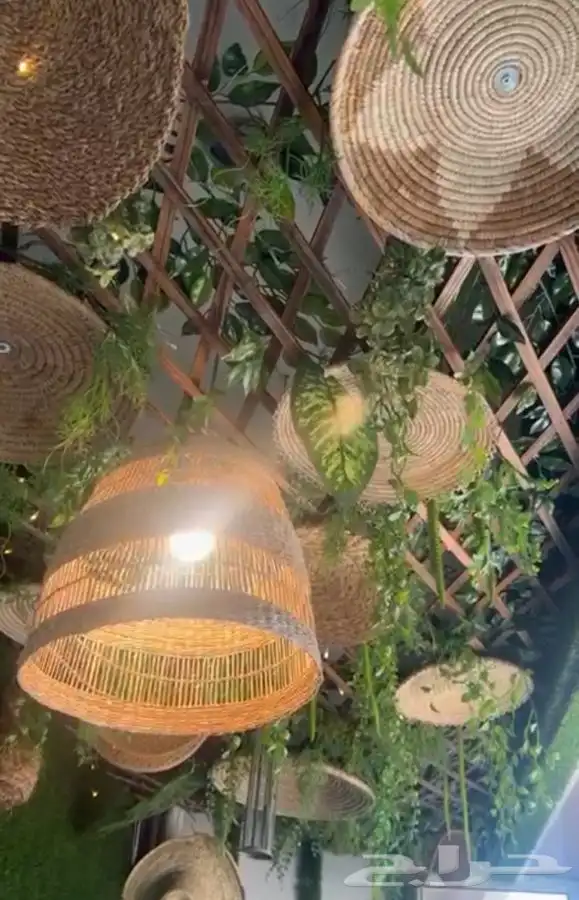 اشجار زينه مرايا ورد واغصان 8
