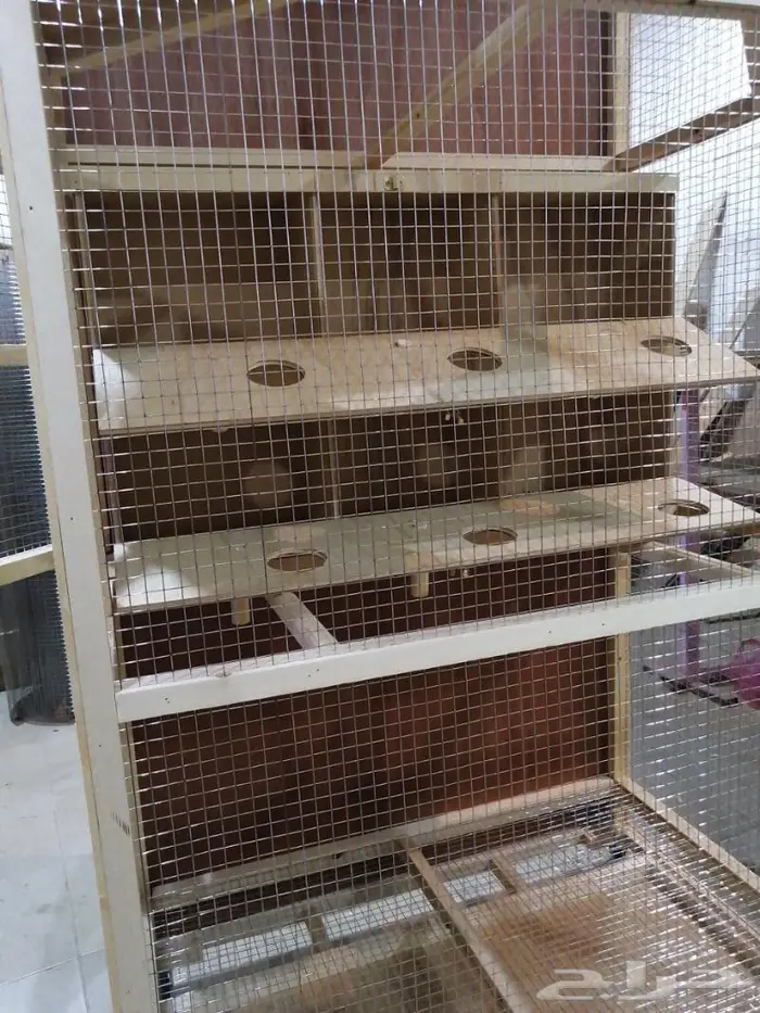 حضيرة عصافير بتصميم ريفي 9