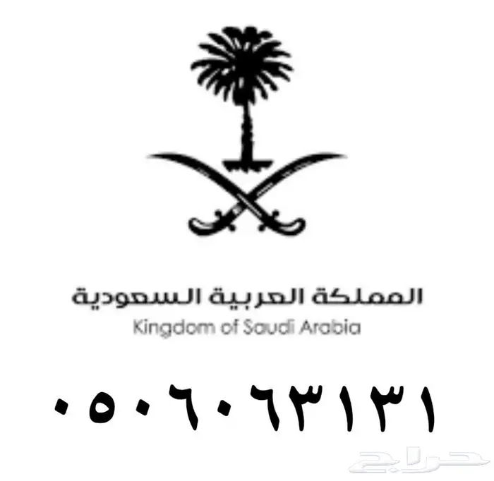 رقم مميز سهل الحفظ 0