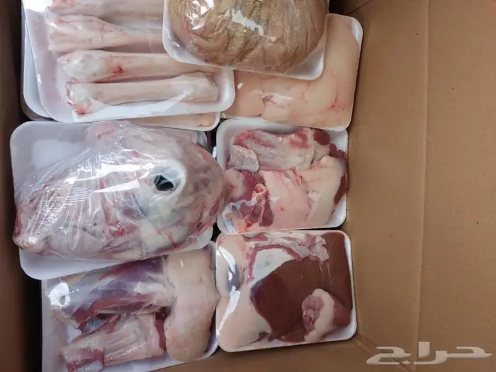 ذبايح ثلاجة مع التغليف والتوصيل وطبخ مع التوصيل 10