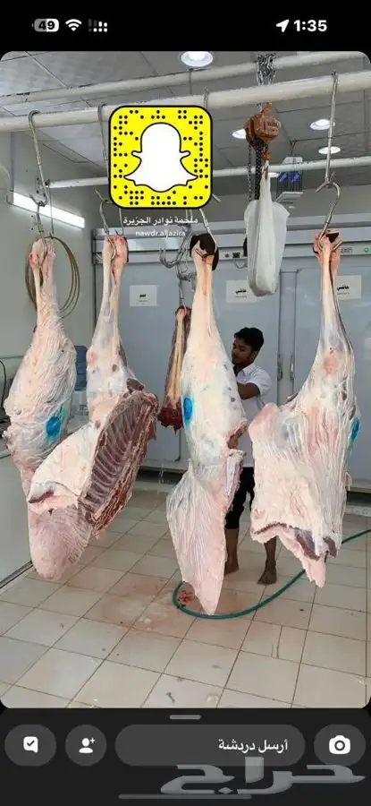 ملحمة نوادر الجزيرة للحوم الطازجة 23