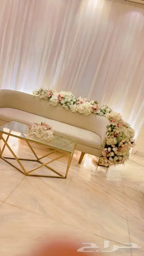 كوش باقل الاسعار. داخل الرياض 17