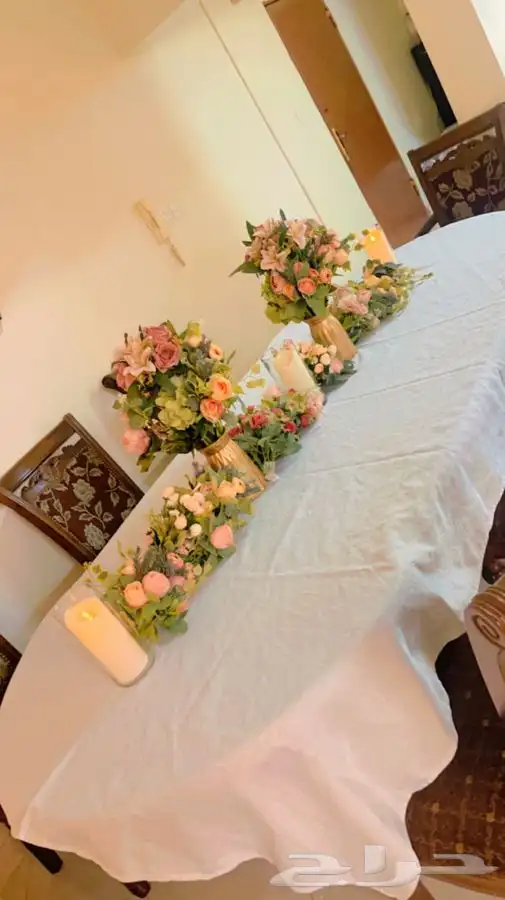 كوش باقل الاسعار. داخل الرياض 26