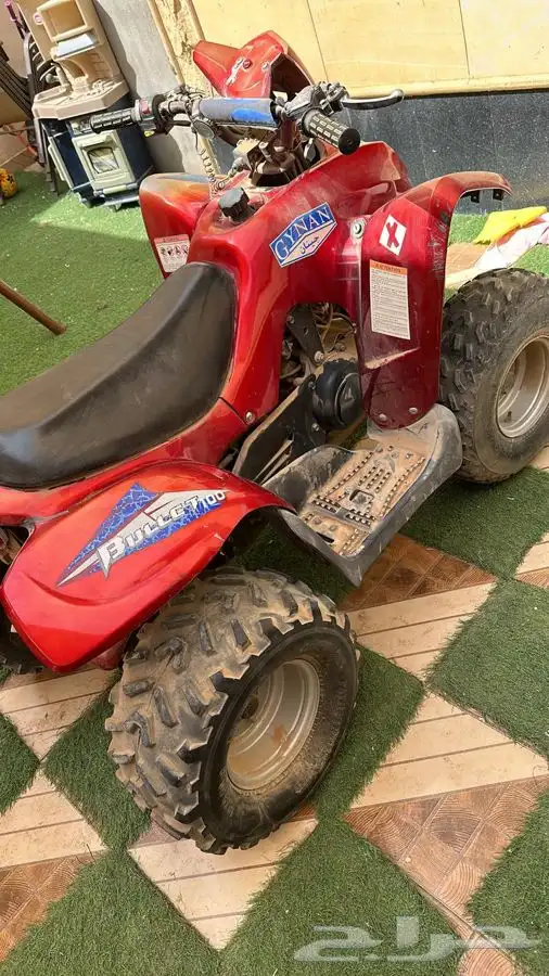 جينان دباب 3