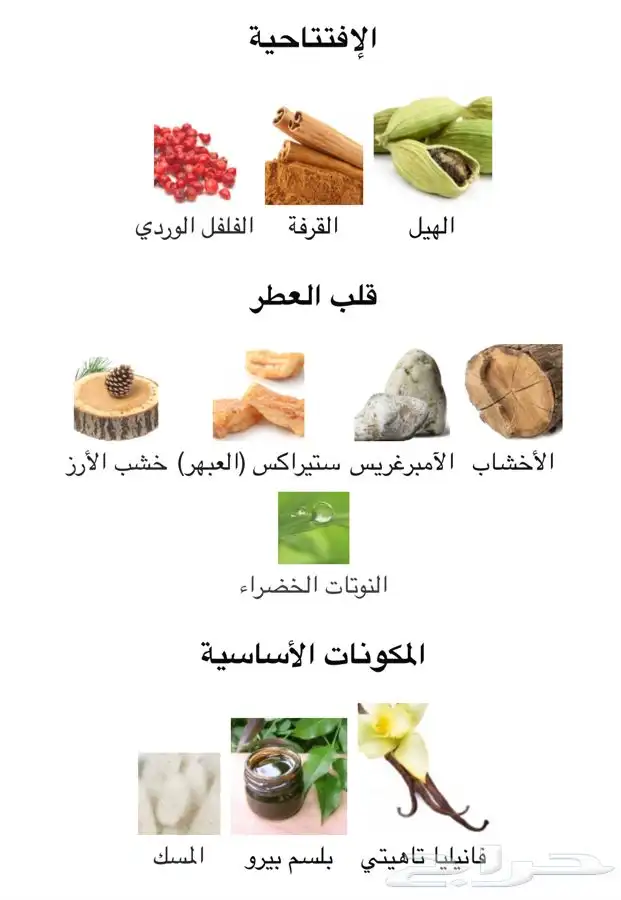 عطور Atelier des Ors الفاخرة بالذهب 2