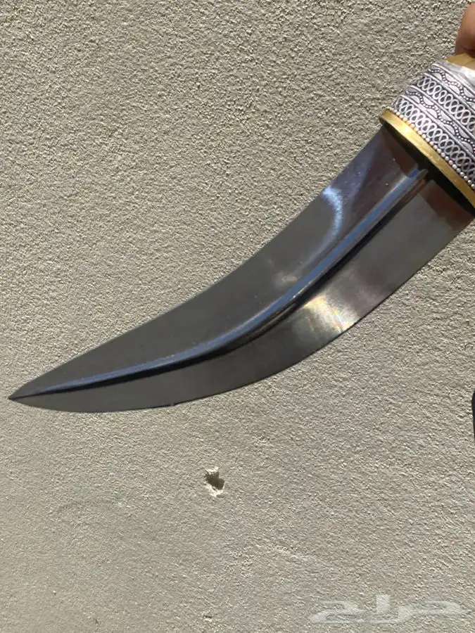 الجنبيه شبه زراف 4