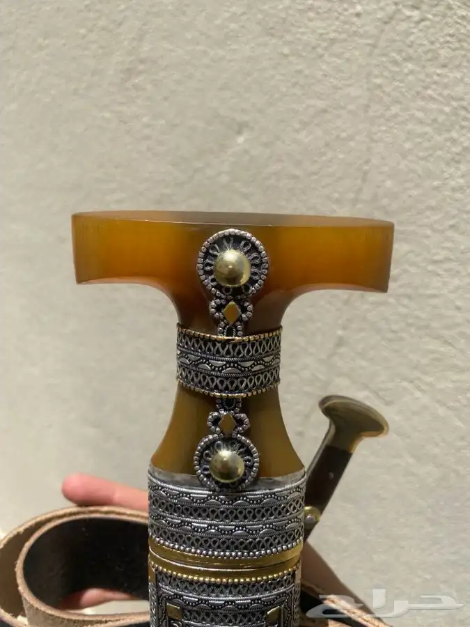 الجنبيه شبه زراف 1
