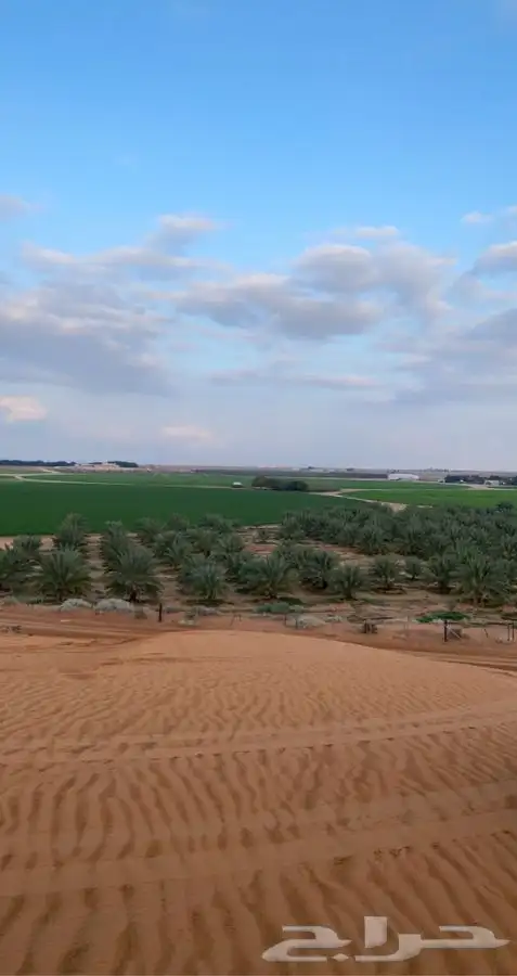 اشراف مزارع الفروثي الحماده الغاط المستوي مليح القصيم 0