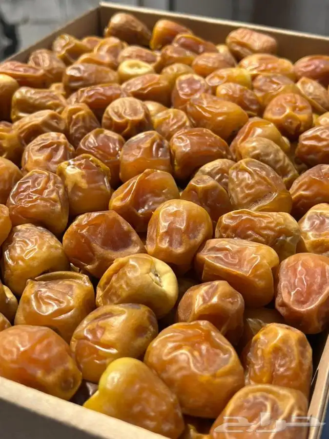 تمر سكري مفتل وجلكسي جديد 0