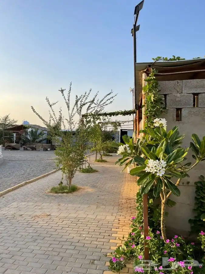 مربط ايواء وعسف وتدريب الخيل 0