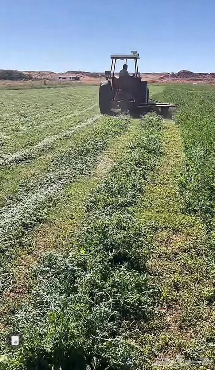 حراثه للايجار لحراثه الاراضي الزراعية وتجهيزها لزراعة 4