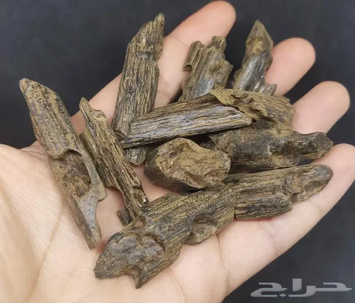 عود كلمنتان بنتلي 0