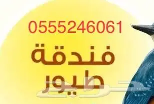 فندقة طيور - قطط - شاهد التقييمات 0